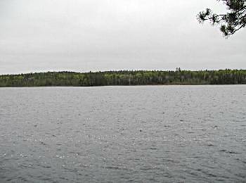 View from across the lake - Algonquin Park, Ontario