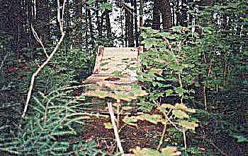 A luxury "sitter" found in the woods algonquin provincial park