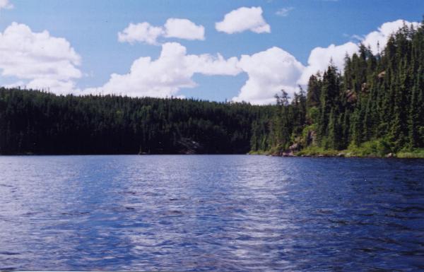 Royd Creek - Woodland Caribou Park