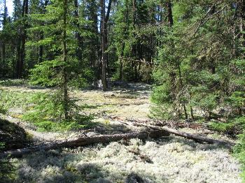 On the portage from "20 meter" lake