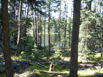 End of the portage from "20 meter" Lake - Woodland Cari bou Park