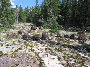 The shore of Split Rock Lake - Woodland Caribou Park