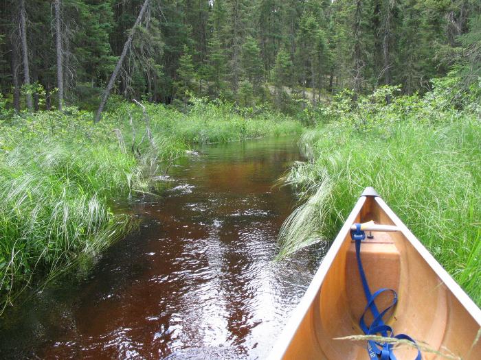 Open creek leaving Split Rock Lake