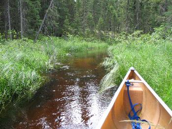 Open creek leaving Split Rock Lake