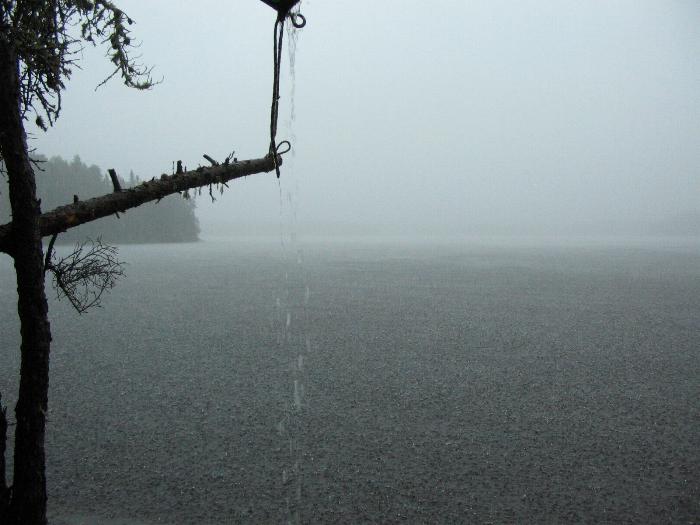 A rainy day in Woodland Caribou Park