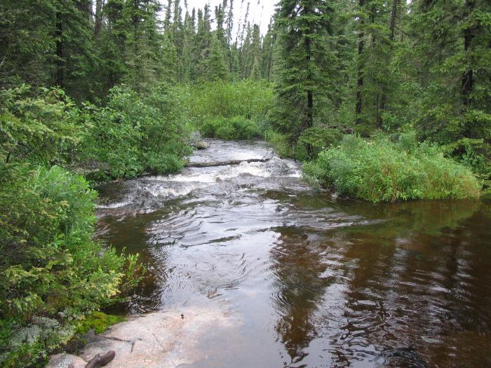 Woodland Caribou Park