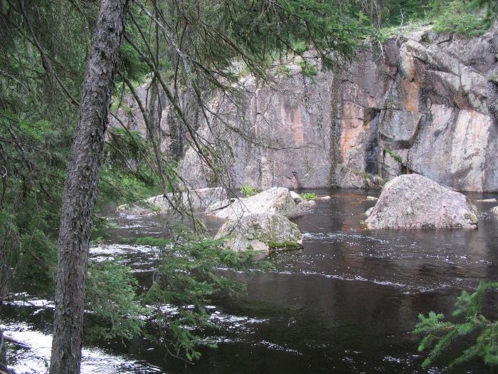 Exploring a creek in Woodland Caribou Park