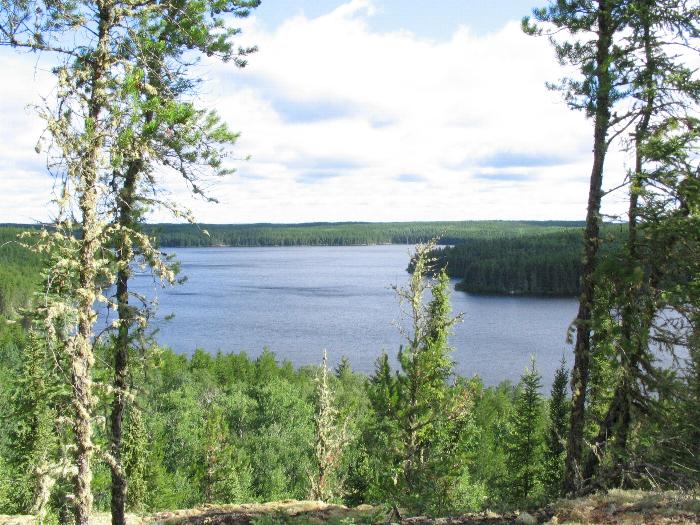 Woodland Caribou Park