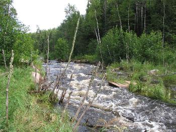 The creek from Moose to Simeon Lake - Woodland Caribou Park