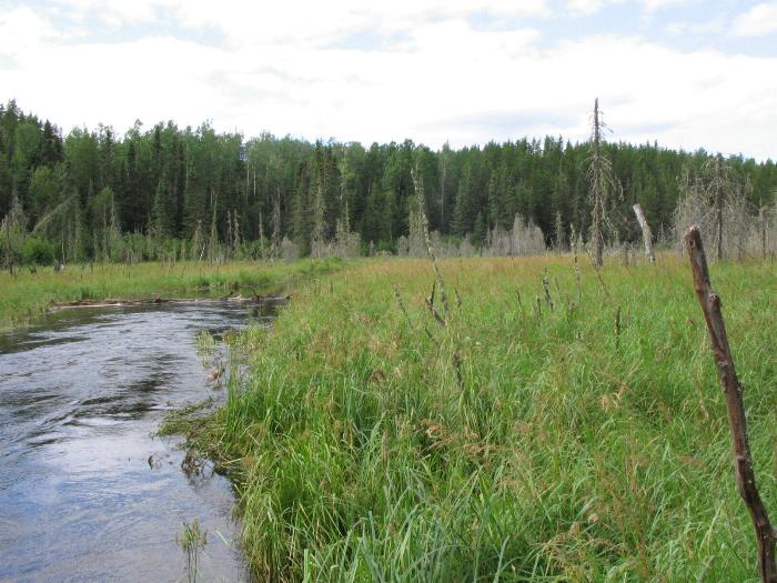 The creek from Moose Lake to Simeon Lake