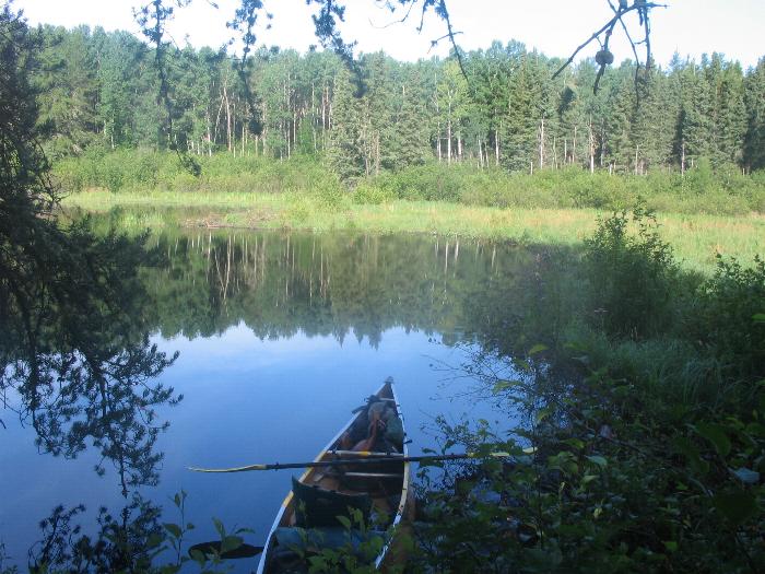 The lake has a band of muskeg around it...