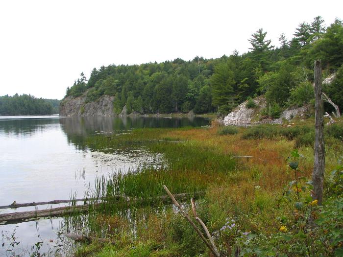 Kakakise Lake Shoreline - Killarney Provincial Park