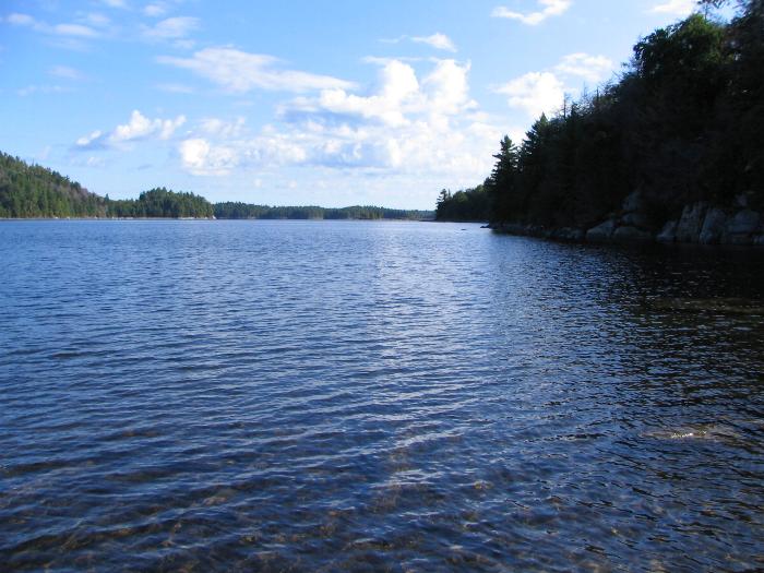 Bell Lake - Killarney Provincial Park