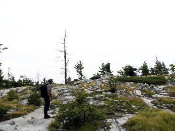 Wayne looking for cairn on ridge - Killarney Provincial Park