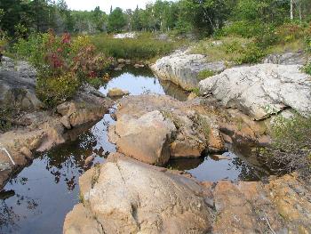 On the way to Silver Peak - Killarney Provincial Park