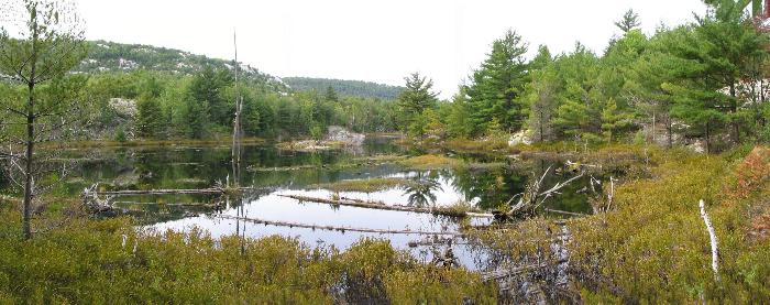 The pond along the trail to Silver Lake - Killarney Provincial Park