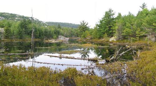 The pond along the trail to Silver Lake - Killarney Provincial Park