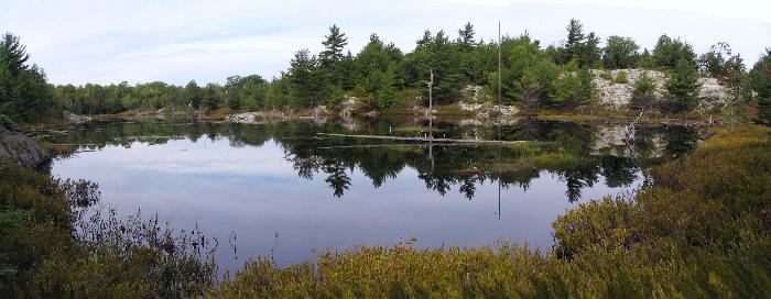 The pond along the trail to Silver Peak - Killarney Provincial Park