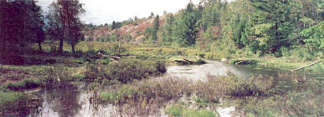 Howry Creek from Gem Lake