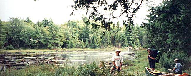 Great Mountain Lake bog