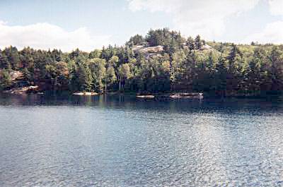 Nellie Lake inlet