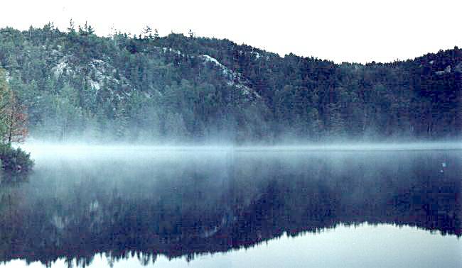 Morning mist on the south shore of Grace Lake