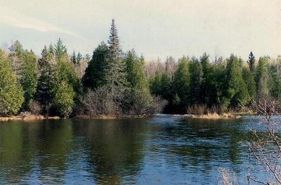 along the Royal River BWCA