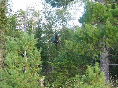 Food pack hanging on a White Pine on Wednesday Bay campsite