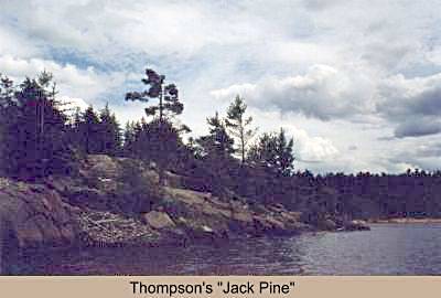 Thompson's "Jack Pine"