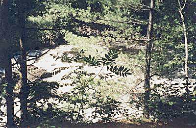 Brigham Falls - Algonquin Provincial Park